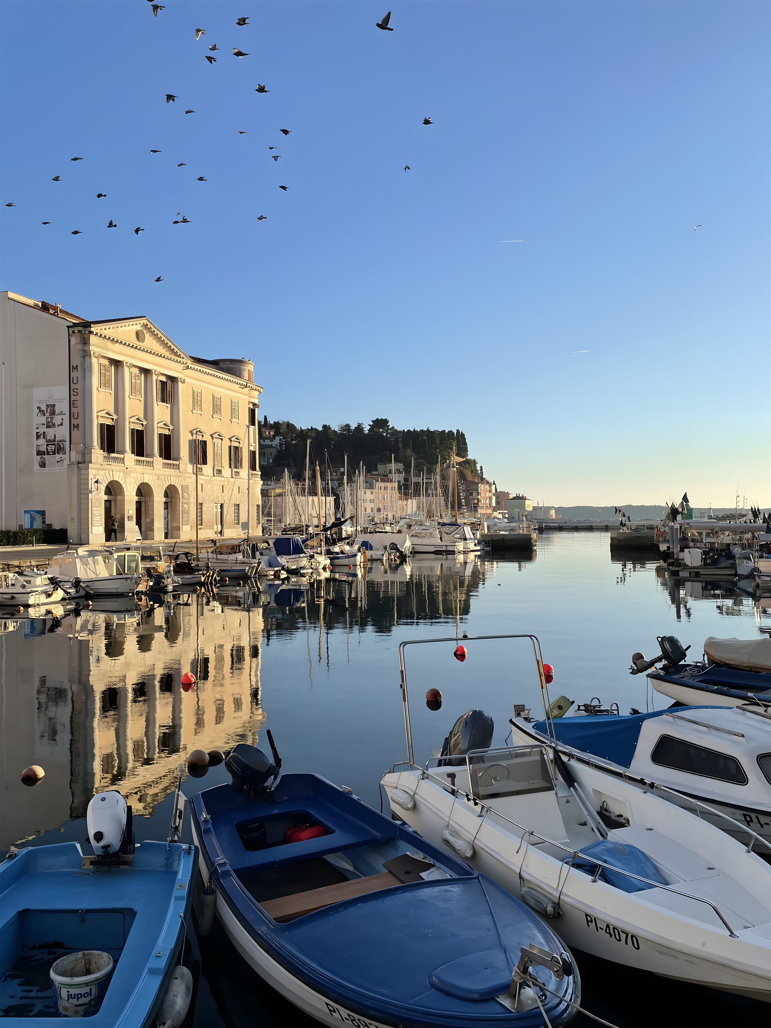 Hafen von Piran